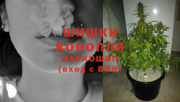 ПСИЛОЦИБИНОВЫЕ ГРИБЫ Карталы