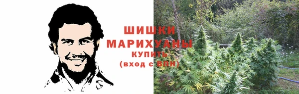 ПСИЛОЦИБИНОВЫЕ ГРИБЫ Карталы