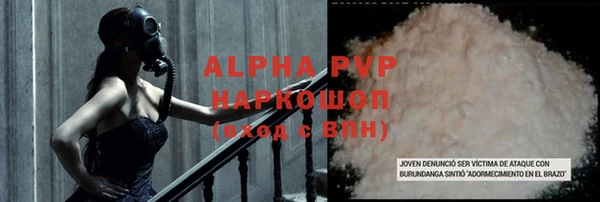 ПСИЛОЦИБИНОВЫЕ ГРИБЫ Карталы