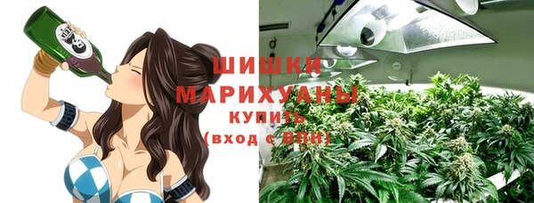 стаф Касимов