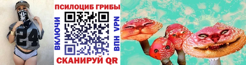 Купить закладки  Борзя  Псилоцибиновые грибы мицелий 