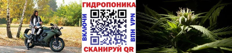 Канабис MAZAR  Купить закладки  Борзя 